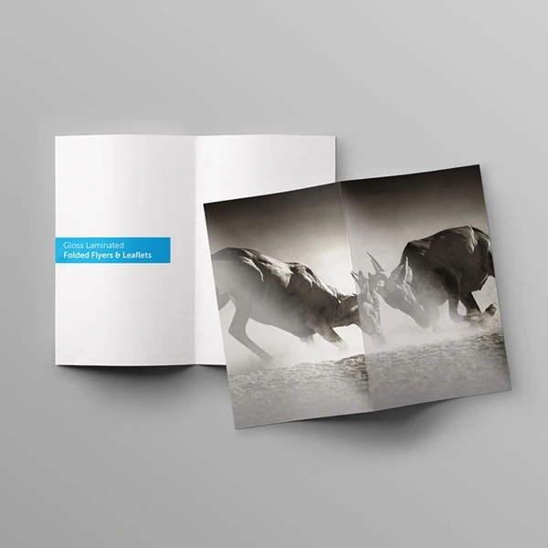 Folded Flyers Gloss Laminated